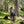 Load image into Gallery viewer, FIELD SLACKS