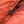 Load image into Gallery viewer, Alpine Jacket (Pumpkin)