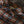 Load image into Gallery viewer, The Ripper Triple Twisted Plaid Shirt - Solstice