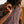 Load image into Gallery viewer, The Short Sleeve Hawthorne
in Port Shell