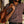 Load image into Gallery viewer, The Short Sleeve Hawthorne
in Port Shell
