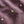 Load image into Gallery viewer, The Short Sleeve Hawthorne
in Port Shell