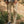 Load image into Gallery viewer, The Pen Slim 10.5oz 4-Way Stretch Selvedge Denim Jeans in Raw Beige