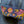Load image into Gallery viewer, Eagle Rising Jacket, No 9 LTD.