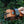 Load image into Gallery viewer, Deep Caramel Minimalist Belt