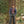Load image into Gallery viewer, Doubleback Wool Flannel Pant
