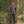 Load image into Gallery viewer, The Bridalveil Jacket - Blackberry
