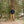 Load image into Gallery viewer, Tuolumne Wool Pile Jacket - Blackberry
