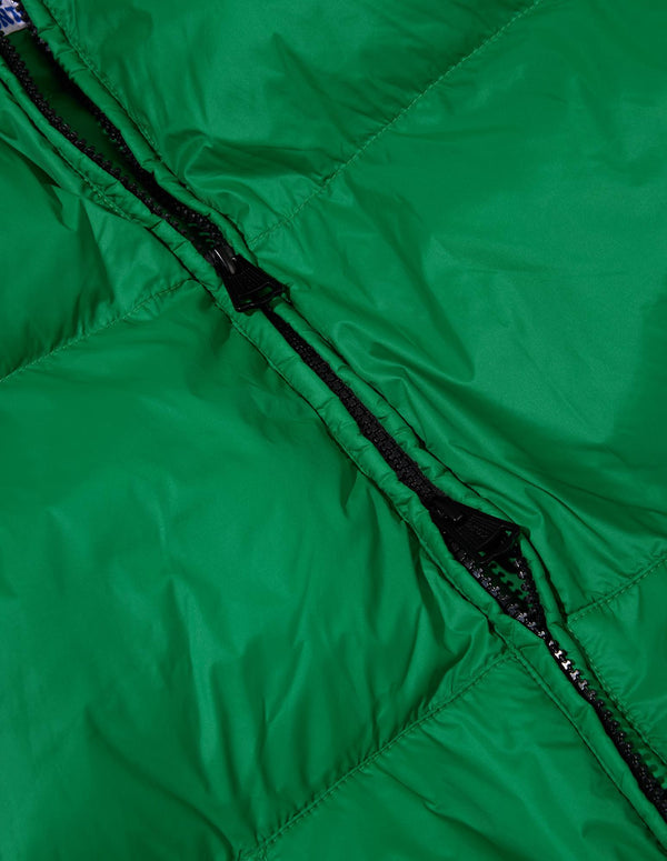 Alpine Jacket (Green Apple)