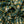 Load image into Gallery viewer, 502655 SLUBBY FLANNEL SHIRT GREEN
