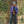 Load image into Gallery viewer, Doubleback Wool Flannel Pant
