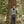 Load image into Gallery viewer, Metanoia Sweater - Pesto
