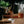 Load image into Gallery viewer, "Greyhaven" Stick Incense - 20 sticks
