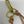 Load image into Gallery viewer, Japanese Brass Fishhook Laced Key Clip

